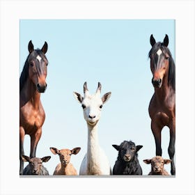 Herd Of Horses Canvas Print