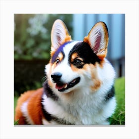 Corgi Dog 6 Canvas Print