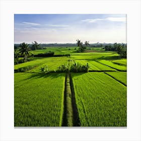 Grow Plant Green Background Field Aerial Landscape Pattern Agriculture Grass Harvesting C (4) Canvas Print