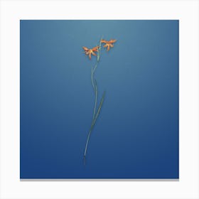 Vintage Gladiolus Watsonius Botanical on Bahama Blue Pattern Canvas Print