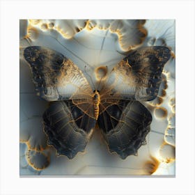 Butterfly 15 Canvas Print