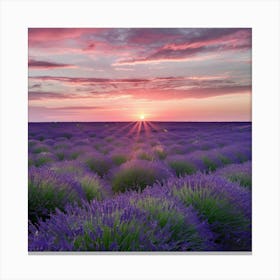 Lavender Field At Sunset 1 Canvas Print