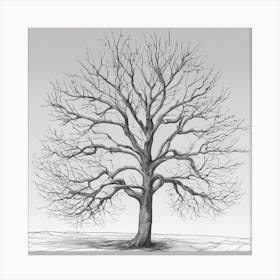 Bare Tree 8 Canvas Print