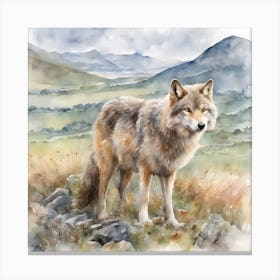 Wolf in Scottish Mountains Waits Amongst the Wild Grass Canvas Print