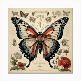  Anatomy Of A Butterfly Art Print 0 Canvas Print