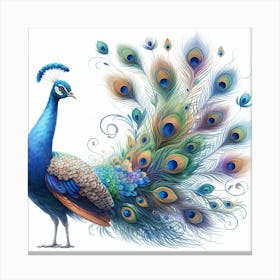 Peacock 1 Canvas Print