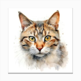 Sokoke Cat Portrait 1 Canvas Print