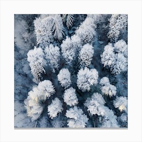 Aerial View Of Snow Covered Trees Canvas Print