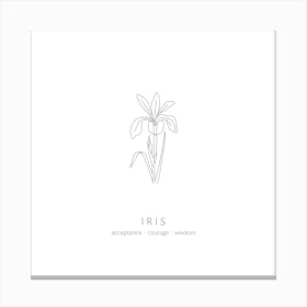 Iris Birth Flower Square Canvas Print