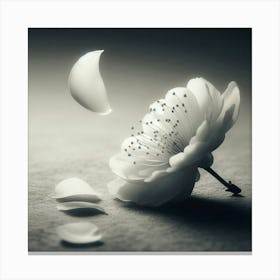 White Flower Canvas Print