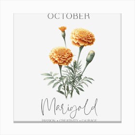 Marigold October Birthday Canvas Print