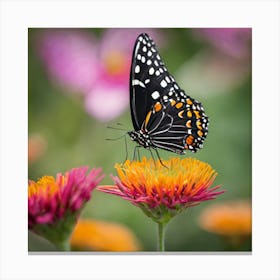 Butterfly On A Flower 2 Canvas Print