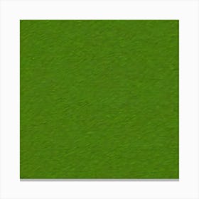 Grass Flat Surface For Background Use (78) Canvas Print