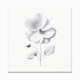"Essence of Purity: The White Anemone"  'Essence of Purity: The White Anemone' stands as a serene representation of nature's simplistic beauty. The white anemone, with its delicate petals and subtle shading, evokes a sense of peace and purity. This minimalist artwork, with its clean lines and soft tones, lends an air of sophistication and tranquility to any interior design.  Adorn your space with this emblem of serenity, perfect for those who appreciate the delicate balance between nature and art, and wish to create a soothing atmosphere in their personal or professional environments. Canvas Print