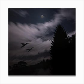 Moon And Birds Canvas Print