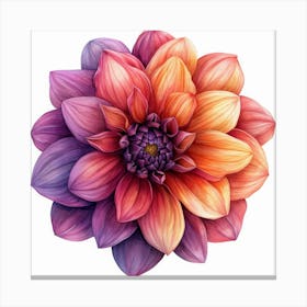 Dahlia Flower 3 Toile