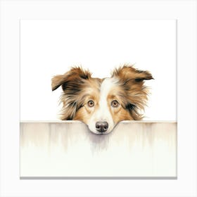 Shetland Sheepdog 2 Canvas Print