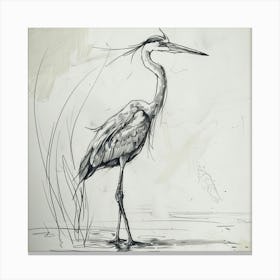 Heron Canvas Print