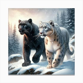Snow Leopards Canvas Print