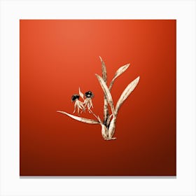 Gold Botanical Clamshell Orchid on Tomato Red Canvas Print