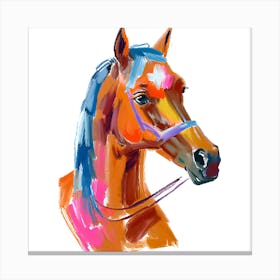 Arabian Horse 01 Canvas Print