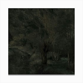 River In The Woods 3 Canvas Print