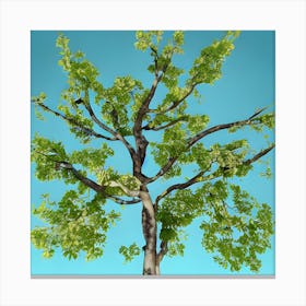 Tree Against A Blue Sky Canvas Print