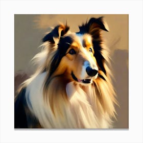 Rough Collie Dog Canvas Print