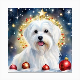 Christmas Maltese Canvas Print