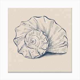 Sea Shell Spiral  Canvas Print
