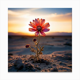 Single Flower In The Desert, A Blooming Flower In A Desolate Landscape Representing Hope And Resilience Canvas Print