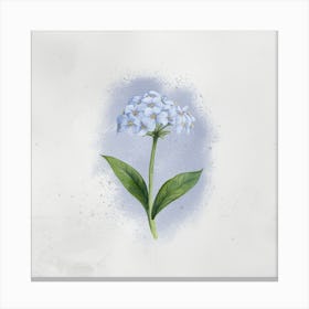 Watercolor Of A Blue Flower Canvas Print