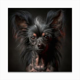 Chihuahua 3 Canvas Print