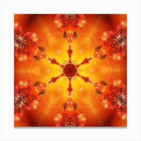 Psychedelic Shamanic Mandala Canvas Print