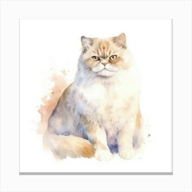 American Shorthair Persian Cat Portrait 1 Canvas Print