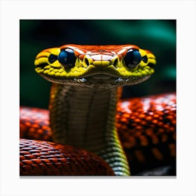 Python Canvas Print