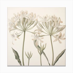 Botanical Print Canvas Print