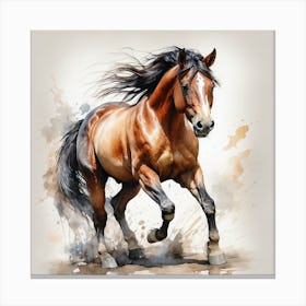 Horse Galloping 13 Canvas Print