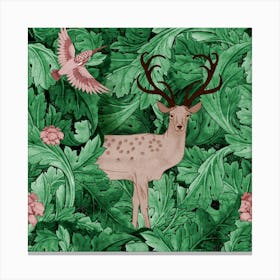 Deer And Hummingbird 1 Canvas Print