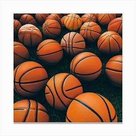 Basketballs On The Grass Canvas Print