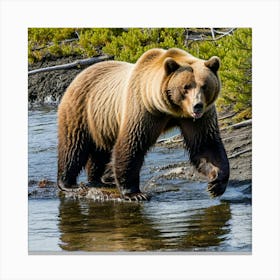 Grizzly Bear 9 Canvas Print