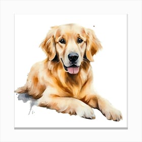 Golden Retriever Watercolor Painting 3 Canvas Print