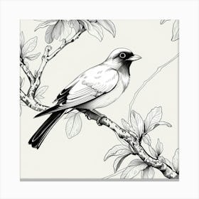 Bird Perched On Branch Canvas Print