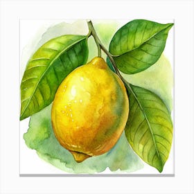 Watercolor Lemon On A Branch Canvas Print