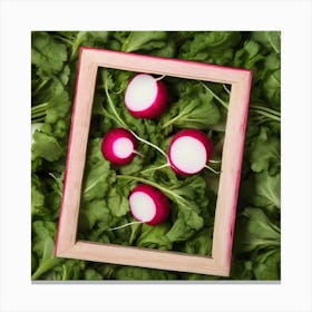 Radishes In A Frame 4 Canvas Print