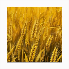 Wheat Field 10 Canvas Print