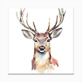 Beautiful Water Color Deer Canvas Print