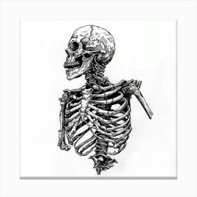 Skeleton Drawing Canvas Print