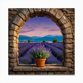 Lavender Field Canvas Print