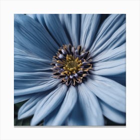 Blue Daisy Canvas Print